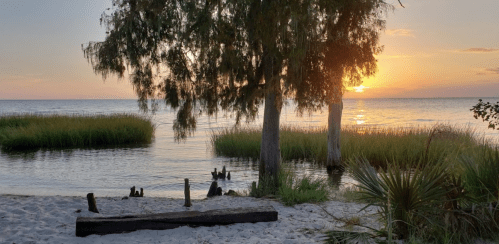 Sunset over a calm lake, framed by trees and grassy shores, with a sandy beach in the foreground.