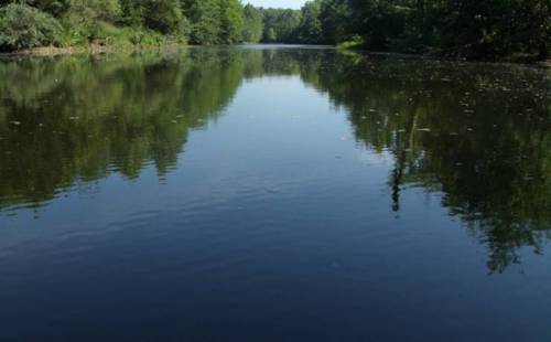A serene river scene with calm water reflecting lush green trees on either side.