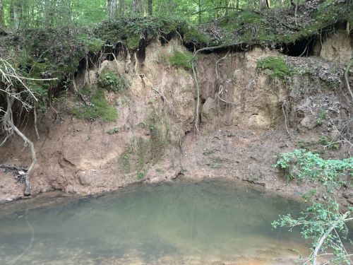 A serene natural scene featuring a small pond surrounded by earthy cliffs and lush greenery.