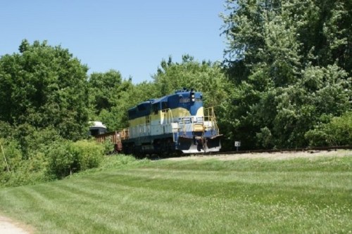 A blue and yellow train engine on tracks surrounded by lush green trees and grass on a sunny day.