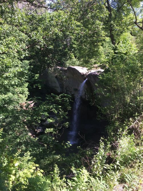 A serene waterfall cascading over rocks, surrounded by lush green foliage and trees.