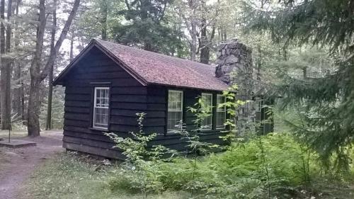A small, dark wooden cabin nestled among trees, with a stone chimney and surrounded by ferns.