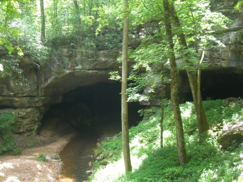 A serene forest scene featuring a cave entrance, a small stream, and lush greenery surrounding the area.