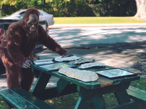 A person in a Bigfoot costume examines framed pictures on a picnic table in a park setting.
