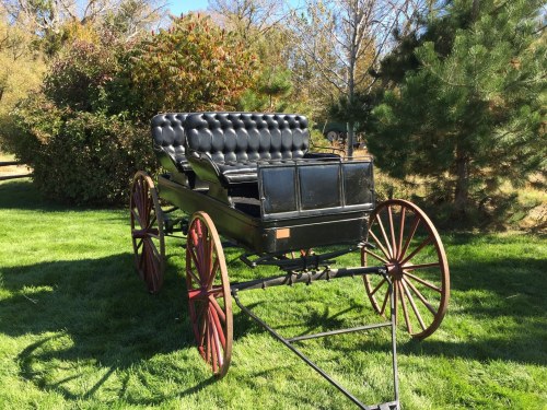 A vintage horse-drawn carriage with a black leather seat, resting on green grass surrounded by trees.