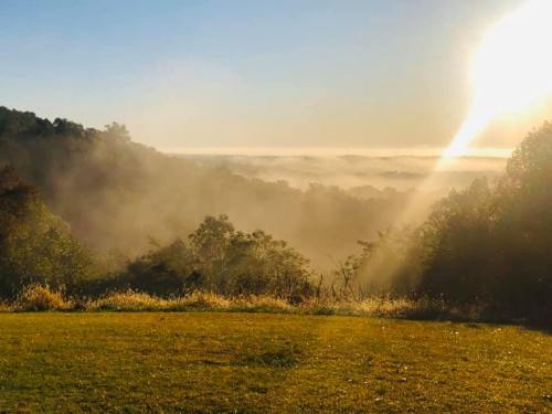 A misty landscape at sunrise, with soft light illuminating trees and rolling hills in the distance.