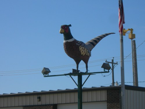 A large, colorful pheasant statue stands atop a pole against a clear blue sky, with an American flag in the background.