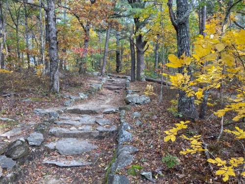 A rocky path winds through a forest with vibrant autumn leaves in shades of yellow and orange.
