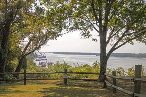 Scenic view of a river framed by trees, with a distant boat and lush greenery along the shoreline.