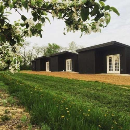 Three modern black cabins set in a grassy area, framed by blooming white flowers and a cloudy sky.