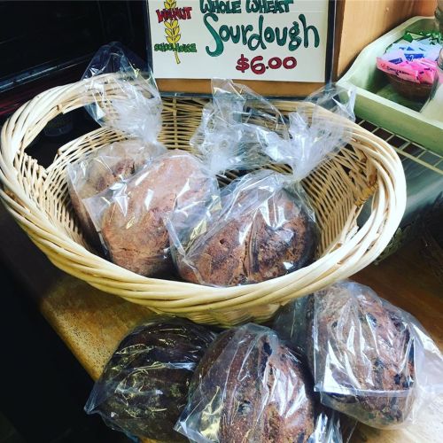 A basket of whole wheat sourdough loaves wrapped in plastic, priced at $6.00, displayed in a shop.