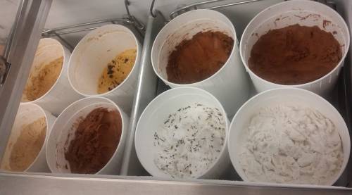 Eight containers of different ice cream flavors, including chocolate, vanilla, and peanut butter, arranged in a metal tray.