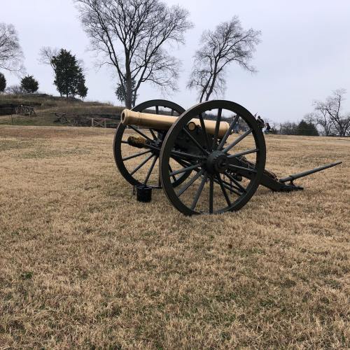 A historic cannon on a grassy field, with bare trees and a cloudy sky in the background.