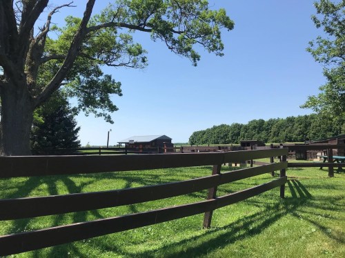 A sunny landscape featuring a wooden fence, green grass, and a building surrounded by trees under a clear blue sky.