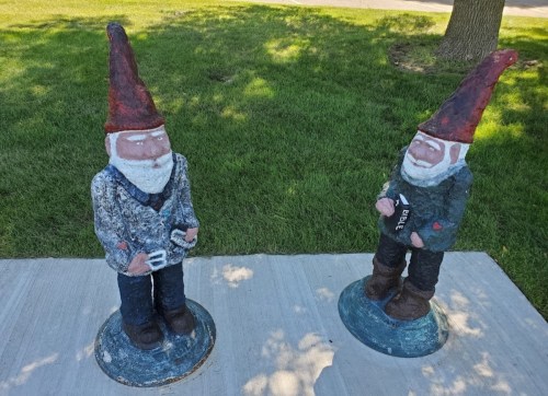 Two whimsical garden gnomes with red hats and beards, standing on a concrete path surrounded by green grass.
