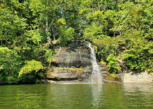 A serene waterfall cascading over rocks, surrounded by lush green trees and reflecting in calm water below.
