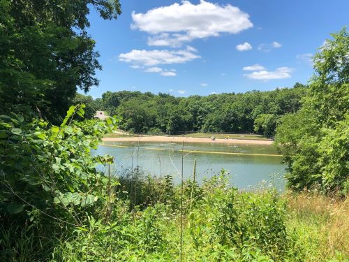 A serene lake surrounded by lush greenery and trees under a bright blue sky with fluffy clouds.