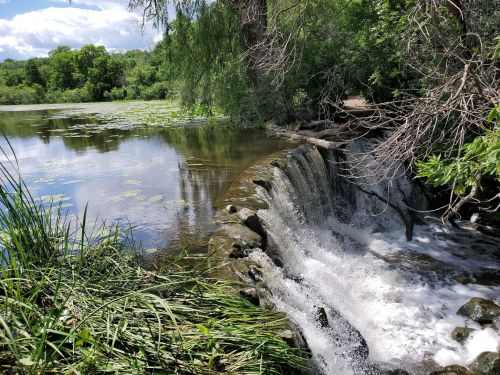 A serene landscape featuring a small waterfall cascading into a calm pond surrounded by lush greenery and lily pads.