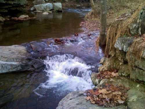 A serene stream flows over rocks, surrounded by autumn leaves and trees, creating a peaceful natural scene.
