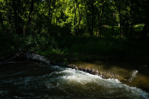 A serene river flows over a log, surrounded by lush green trees and dappled sunlight in a tranquil forest setting.
