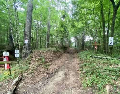 A dirt trail winding through a lush green forest, with signs indicating trail directions and rules.