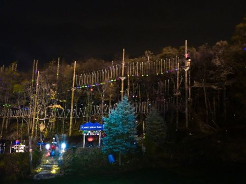 A nighttime view of a treetop adventure park with colorful lights and wooden structures among trees.