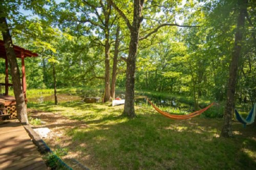 A serene outdoor scene with hammocks between trees, a pond, and lush greenery under bright sunlight.