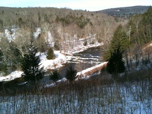 A snowy landscape with a river winding through trees, surrounded by a mix of evergreen and bare deciduous trees.