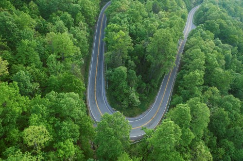 Aerial view of a winding road surrounded by lush green trees in a dense forest.