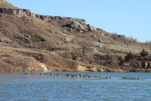 A serene lake scene with a flock of birds resting on the water, surrounded by rocky hills and sparse vegetation.