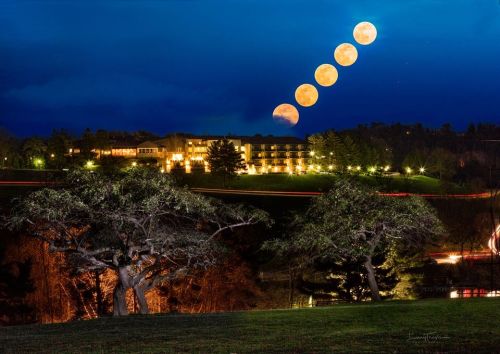 A serene night scene featuring a hotel illuminated by lights, with a sequence of moon phases above against a dark blue sky.