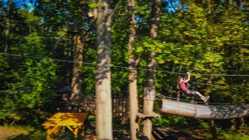 A person zip-lining through a forest, surrounded by trees and a wooden platform in the background.