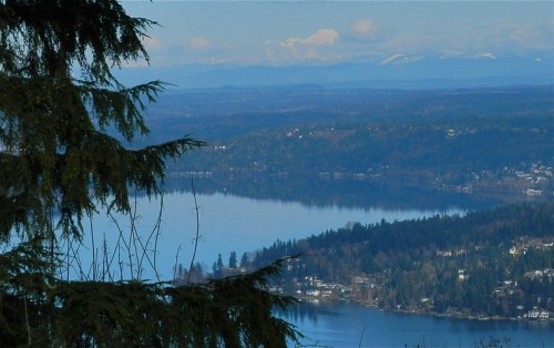 A scenic view of a lake surrounded by mountains and forests under a clear blue sky.
