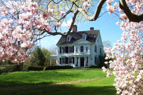 A white house surrounded by blooming pink magnolia trees and lush green grass under a clear blue sky.