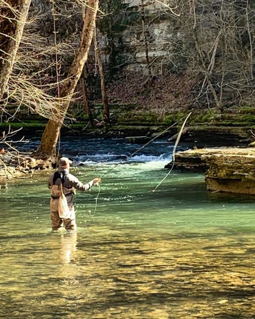 A person fishing in a clear river surrounded by trees and rocky banks on a sunny day.