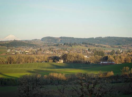 A scenic landscape featuring rolling green hills, farms, and distant mountains under a clear sky.