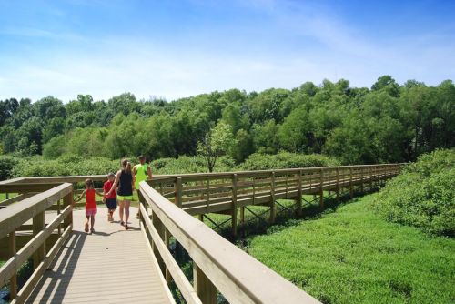 A wooden boardwalk leads through a lush green landscape, with people walking in the distance.