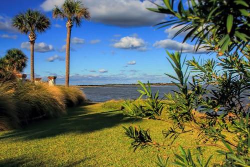 A scenic view of a river with palm trees and lush greenery under a blue sky with fluffy clouds.