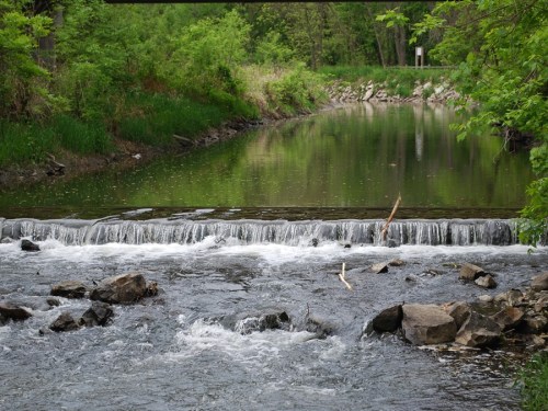 A serene river scene with gentle rapids, surrounded by lush greenery and reflections in the calm water.