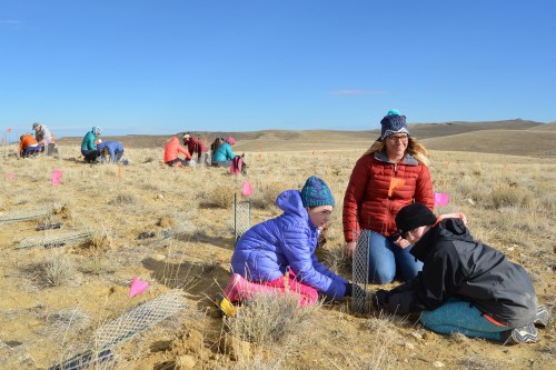A group of people, including children, planting in a field with pink flags and mountains in the background.