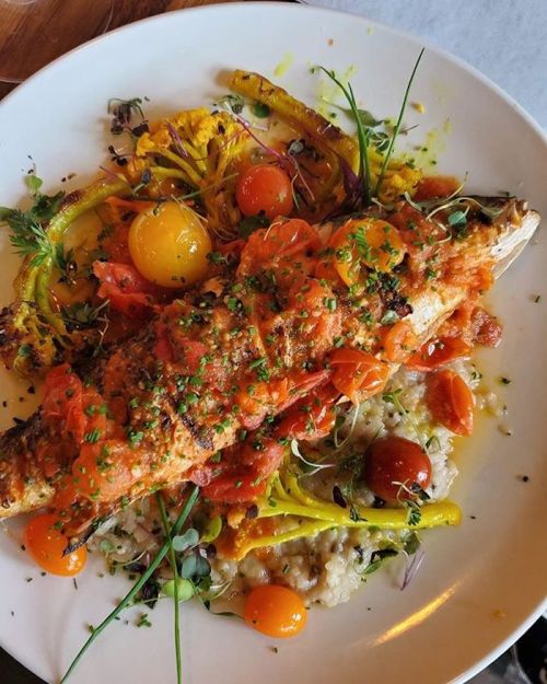 A beautifully plated fish dish topped with tomatoes, herbs, and served with colorful vegetables and a creamy base.