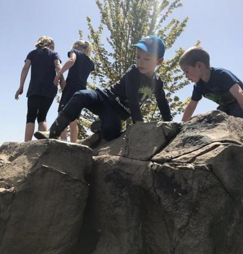 Children climbing on rocks outdoors, with a tree in the background and clear blue sky above.