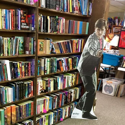 A life-size cardboard cutout of a character stands next to a bookshelf filled with various books in a cozy library setting.