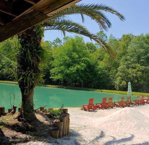 A serene tropical scene featuring a turquoise pond, sandy shore, palm trees, and red lounge chairs under a clear blue sky.