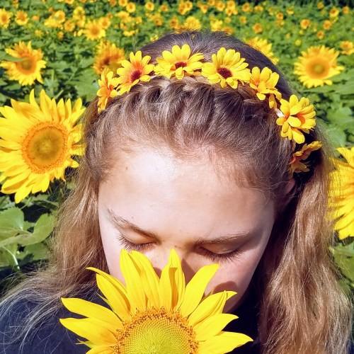 A girl with a flower crown leans down to smell a sunflower in a field of sunflowers.