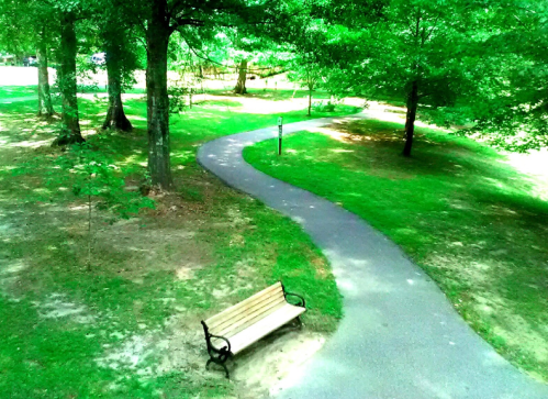 A winding path through a green park, with a wooden bench beside it under the shade of trees.