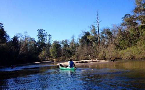 A person paddles a canoe on a calm river surrounded by trees under a clear blue sky.