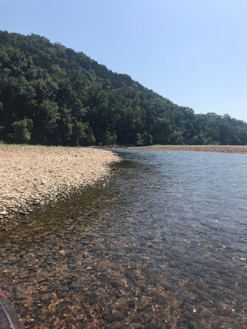 A serene riverbank with clear water, pebbles, and lush green trees under a bright blue sky.