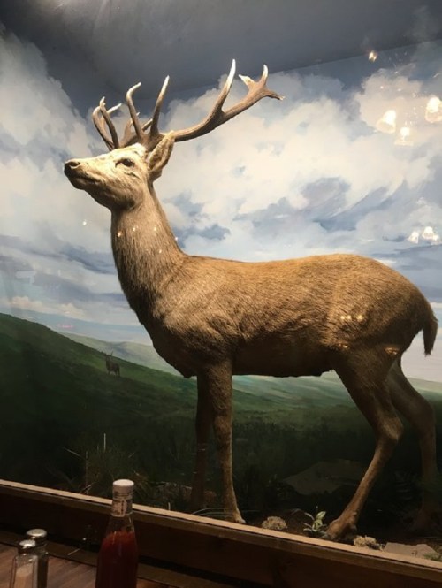 A mounted deer with antlers stands against a painted landscape of hills and clouds.
