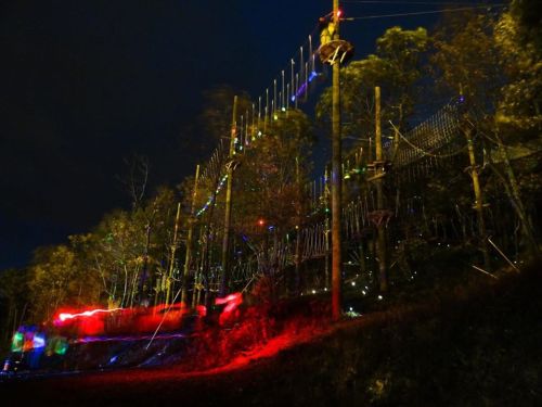 A brightly lit treetop adventure course at night, featuring colorful lights and a wooden structure among trees.